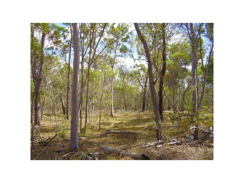 Baffle Creek QLD 4674