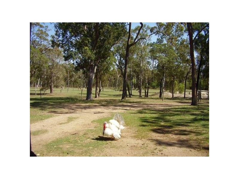 Captain Creek QLD 4677