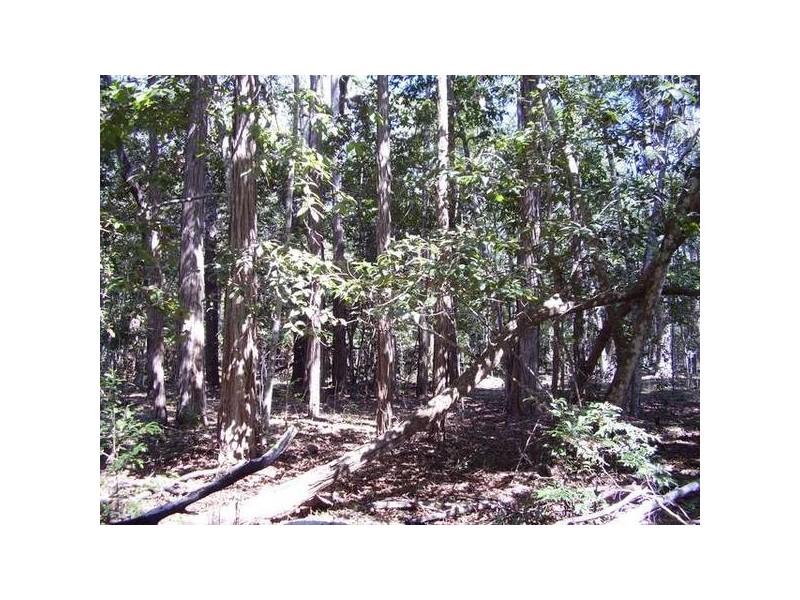 Captain Creek QLD 4677