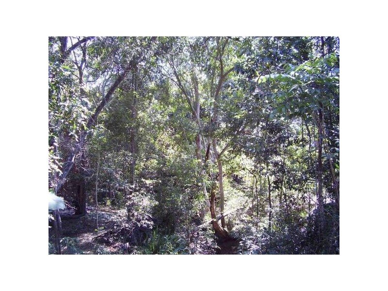 Captain Creek QLD 4677