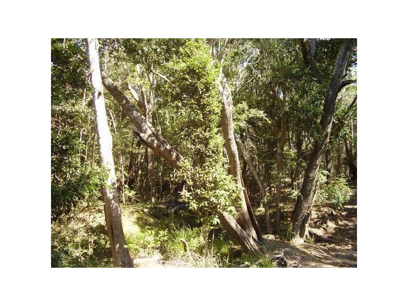 Captain Creek QLD 4677