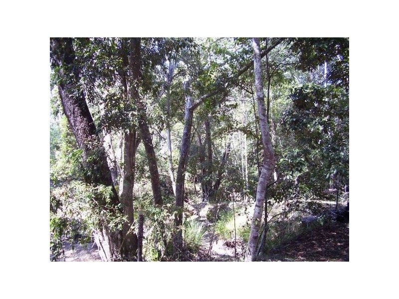 Captain Creek QLD 4677