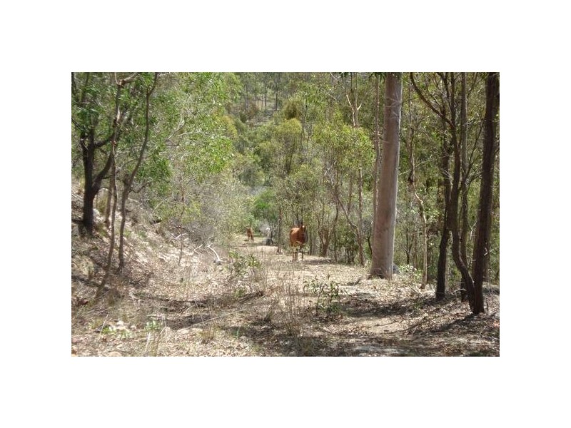 South Bingera QLD 4670