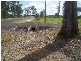 Sharon QLD 4670