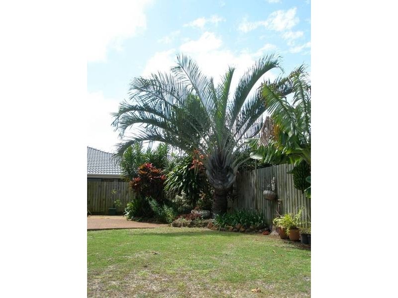 Innes Park QLD 4670