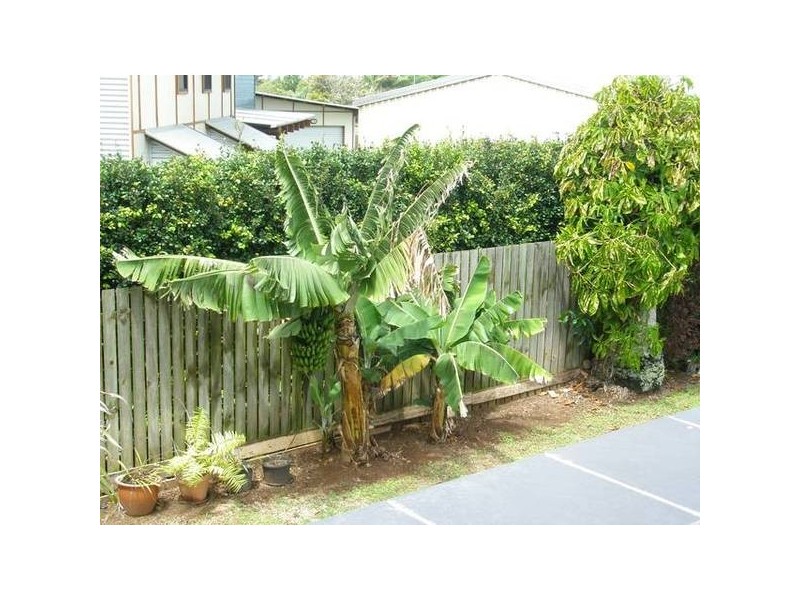Innes Park QLD 4670