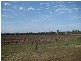 South Kolan QLD 4670
