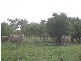 South Kolan QLD 4670