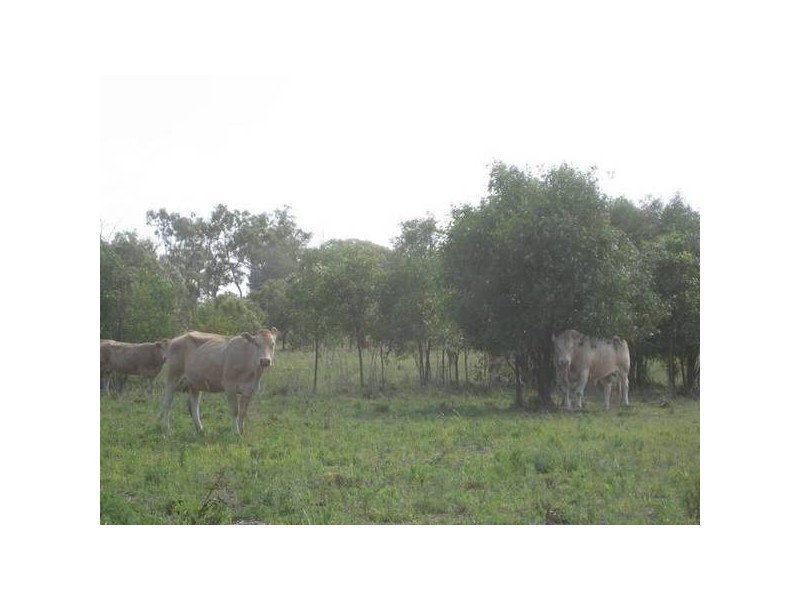 South Kolan QLD 4670