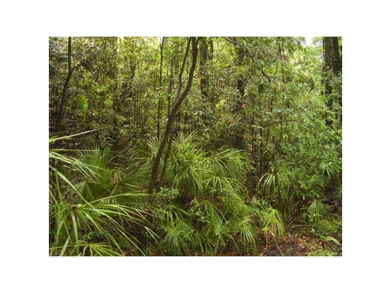 Lowmead QLD 4676