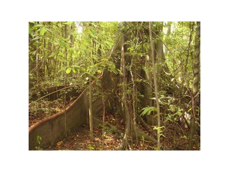 Lowmead QLD 4676