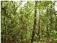 Lowmead QLD 4676