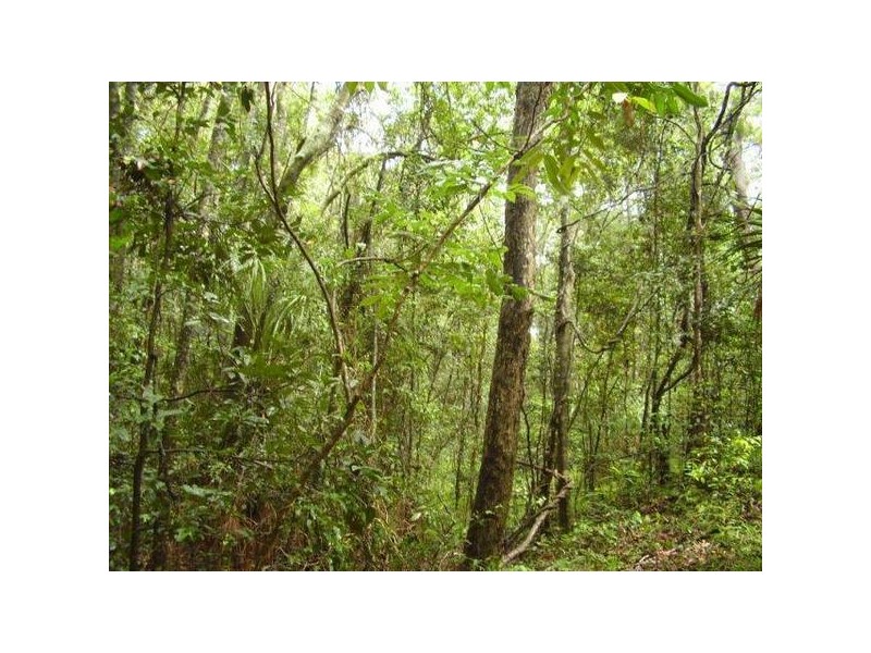 Lowmead QLD 4676