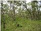 Lowmead QLD 4676