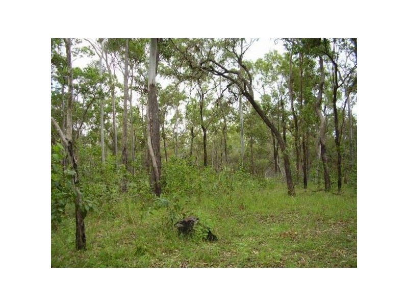 Lowmead QLD 4676
