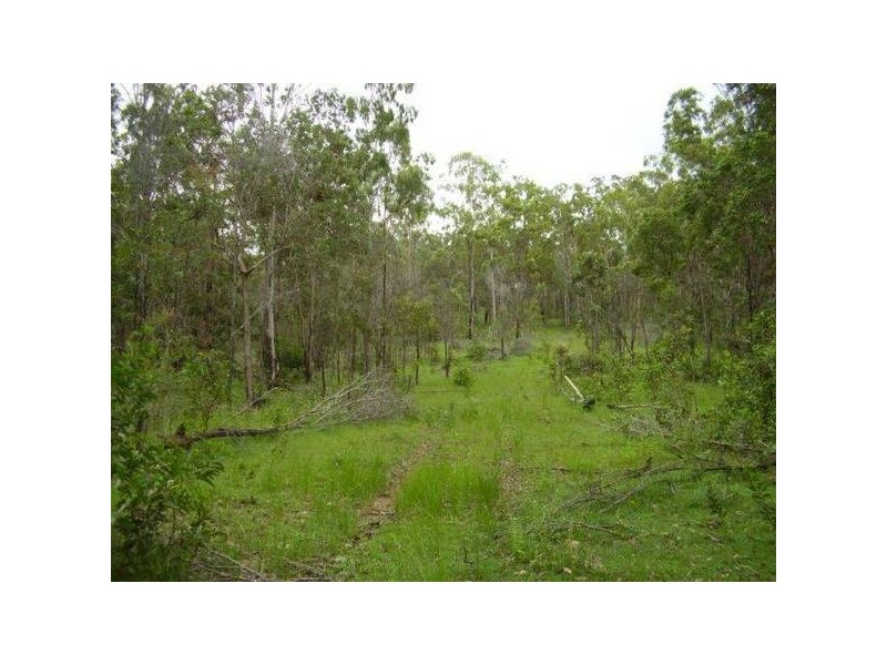 Lowmead QLD 4676