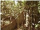 Lowmead QLD 4676