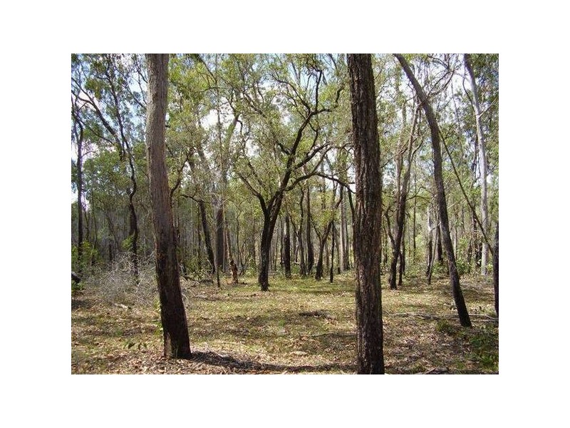 Lowmead QLD 4676