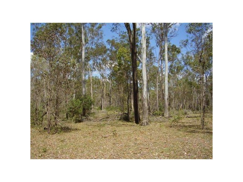 Lowmead QLD 4676