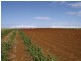 Woongarra QLD 4670
