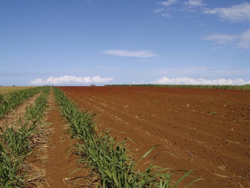 Woongarra QLD 4670