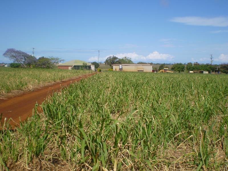 Woongarra QLD 4670