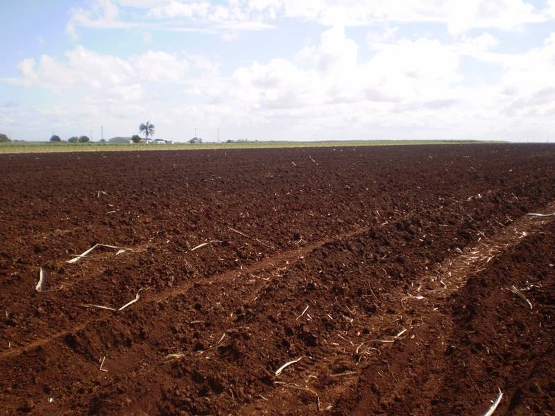 Woongarra QLD 4670