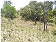 Bucca QLD 4670