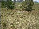 Bucca QLD 4670