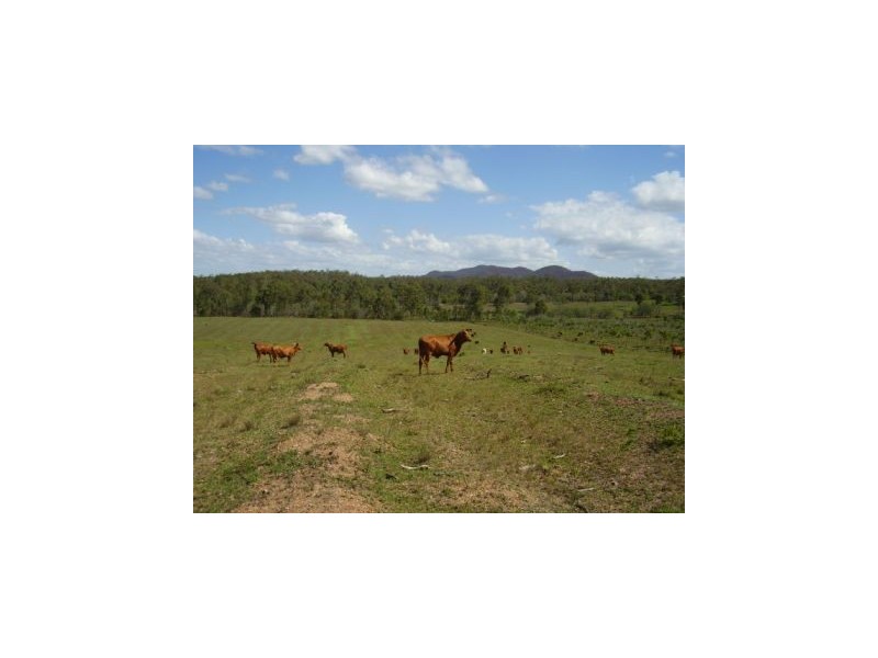 Baffle Creek QLD 4674