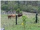 Gin Gin QLD 4671