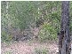 Gin Gin QLD 4671