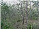 Baffle Creek QLD 4674