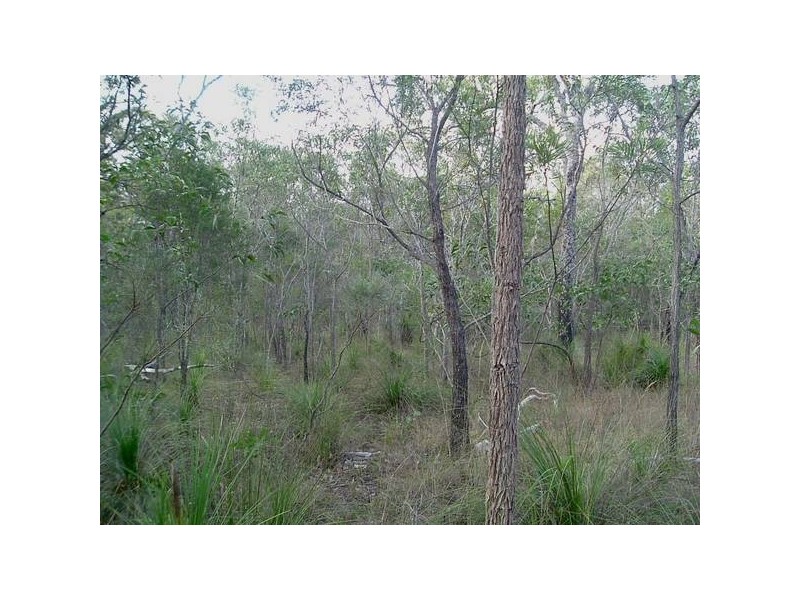 Baffle Creek QLD 4674