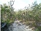 Baffle Creek QLD 4674