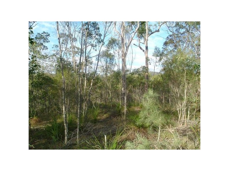 Baffle Creek QLD 4674