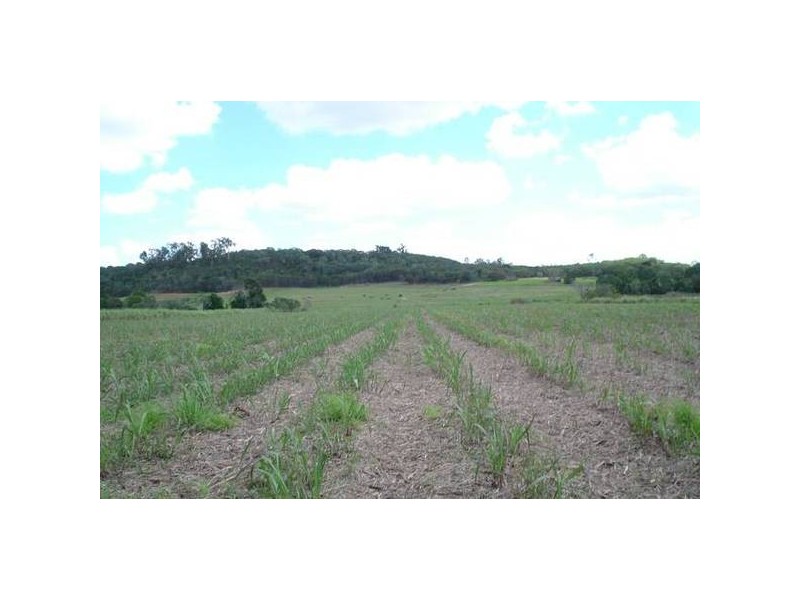 Redhill Farms QLD 4671