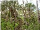 Lowmead QLD 4676