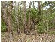 Lowmead QLD 4676