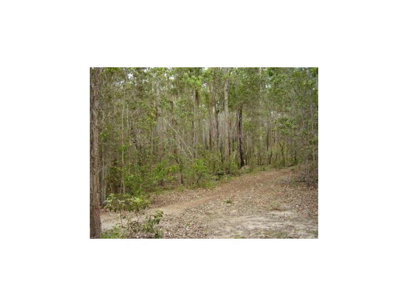 Lowmead QLD 4676
