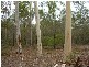 Lowmead QLD 4676