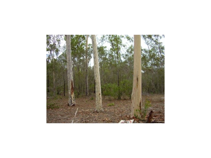 Lowmead QLD 4676
