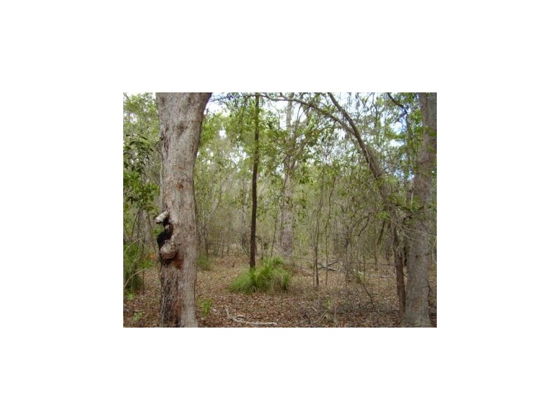 Lowmead QLD 4676