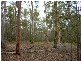 Lowmead QLD 4676