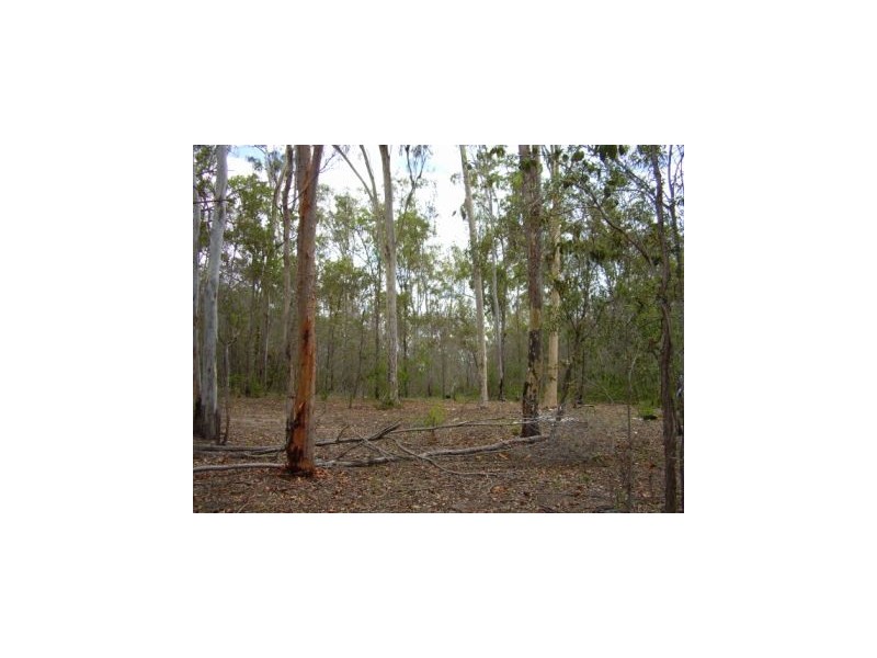 Lowmead QLD 4676