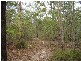 Lowmead QLD 4676