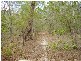 Lowmead QLD 4676