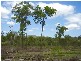 Lowmead QLD 4676