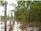 Lowmead QLD 4676