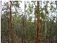 Lowmead QLD 4676